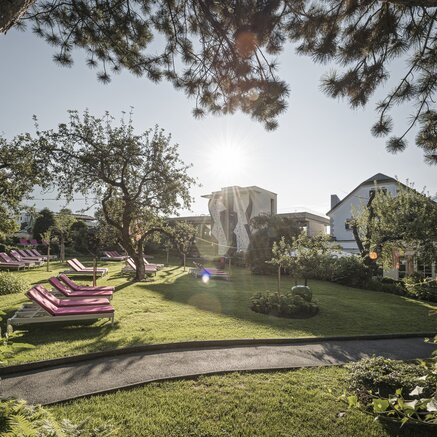 Garden with loungers, lawn, trees and buildings in the background under bright sunshine