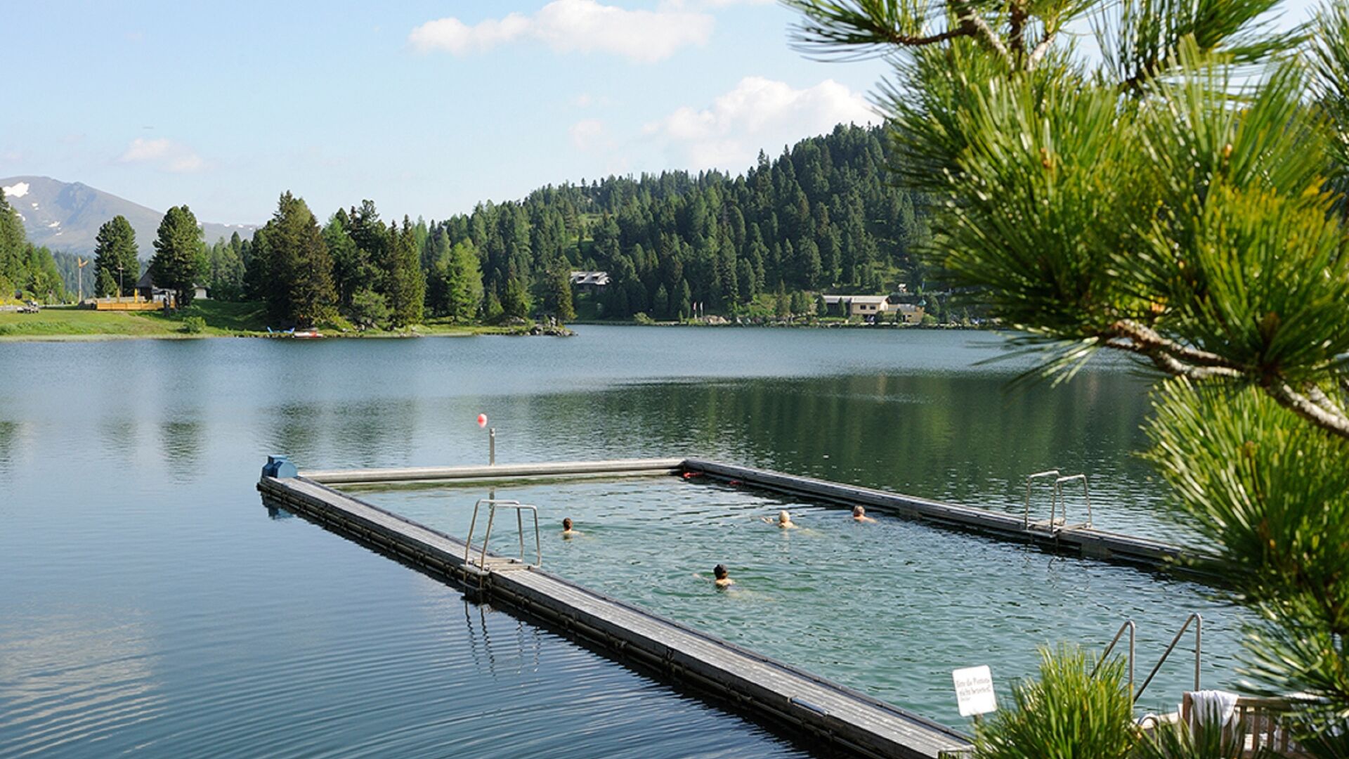 HOCHgefühle im Sommer
