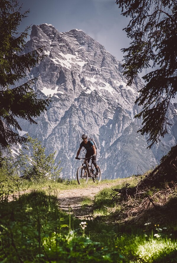 Mountainbiker auf Pfad vor Bergpanorama mit Schnee zwischen Bäumen