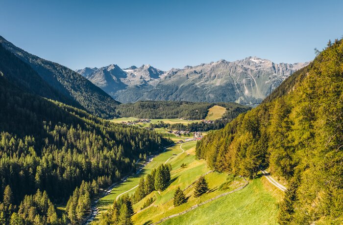 Green mountain landscape with forest, meadows and snow-capped peaks under a blue sky