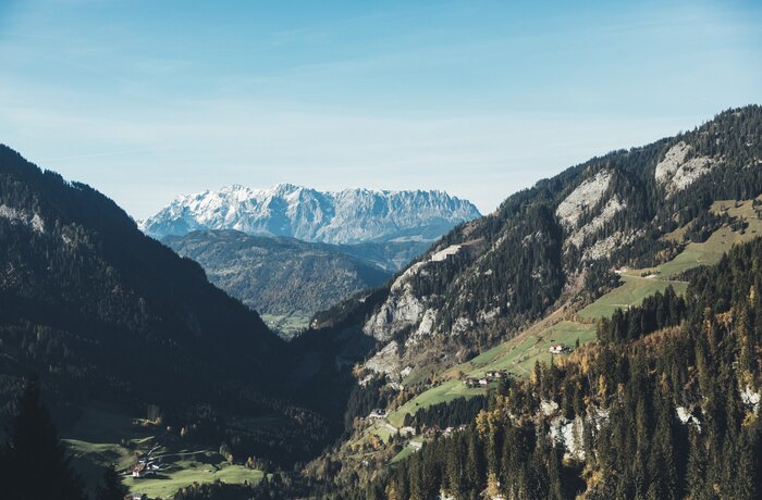 Mountain landscape with forested slopes and snow-capped peaks under a blue sky