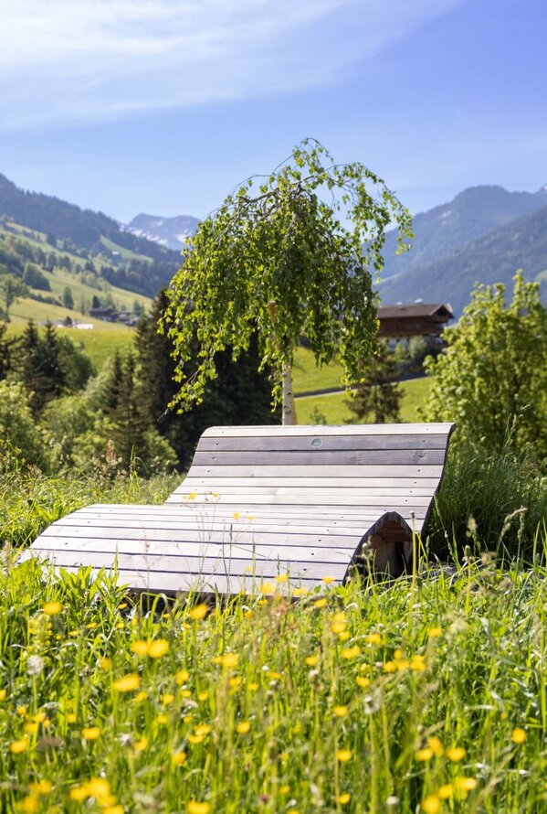 Holzliege in Frühlingswiese vor Bergpanorama