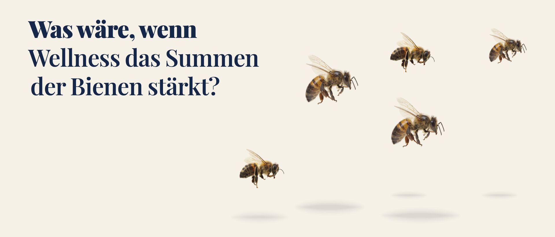 Fliegende Bienen vor hellem Hintergrund mit Textfragment zum Thema Nachhaltigkeit