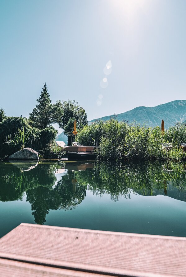 Lake landscape with lush vegetation and mountains in the background on a sunny day