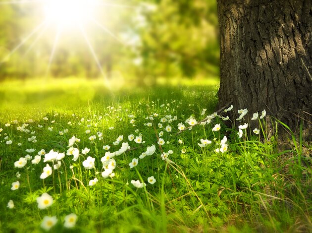 Frühling in den Best Alpine Wellness Hotels | Wellnesshotels in Österreich & Südtirol