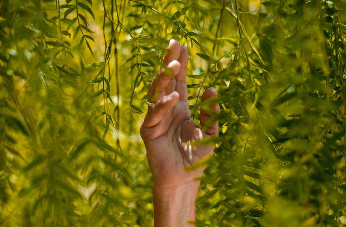 Green Leaves in the Summer Green Leaves in the Summer | Best Alpine Wellness Hotels