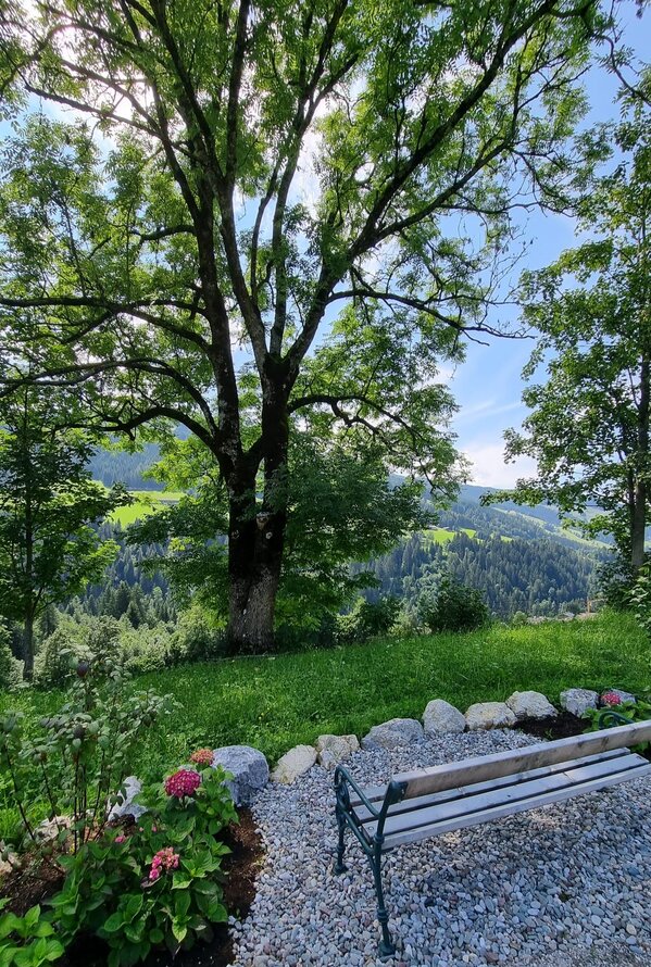 Holzbank auf Kiesweg vor grüner Landschaft mit Bäumen und Hügeln