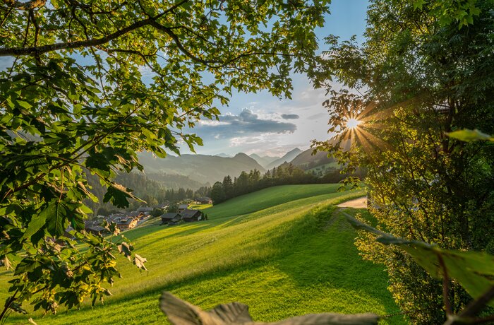Grüne Panoramawiese im Abendlicht, Blick durch Bäume auf Berge und Häuser im Tal
