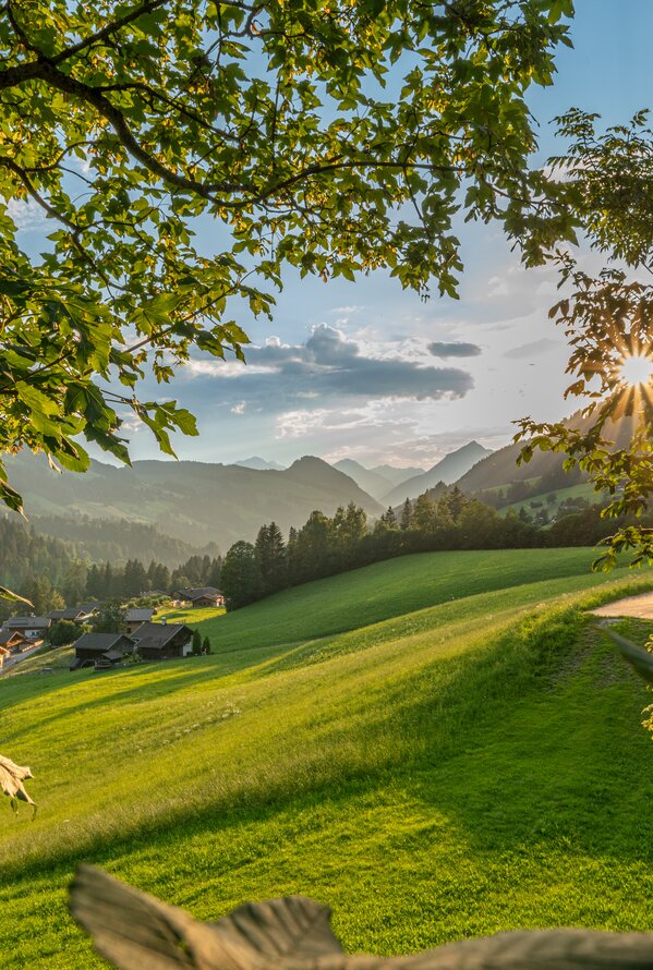 Grüne Panoramawiese im Abendlicht, Blick durch Bäume auf Berge und Häuser im Tal