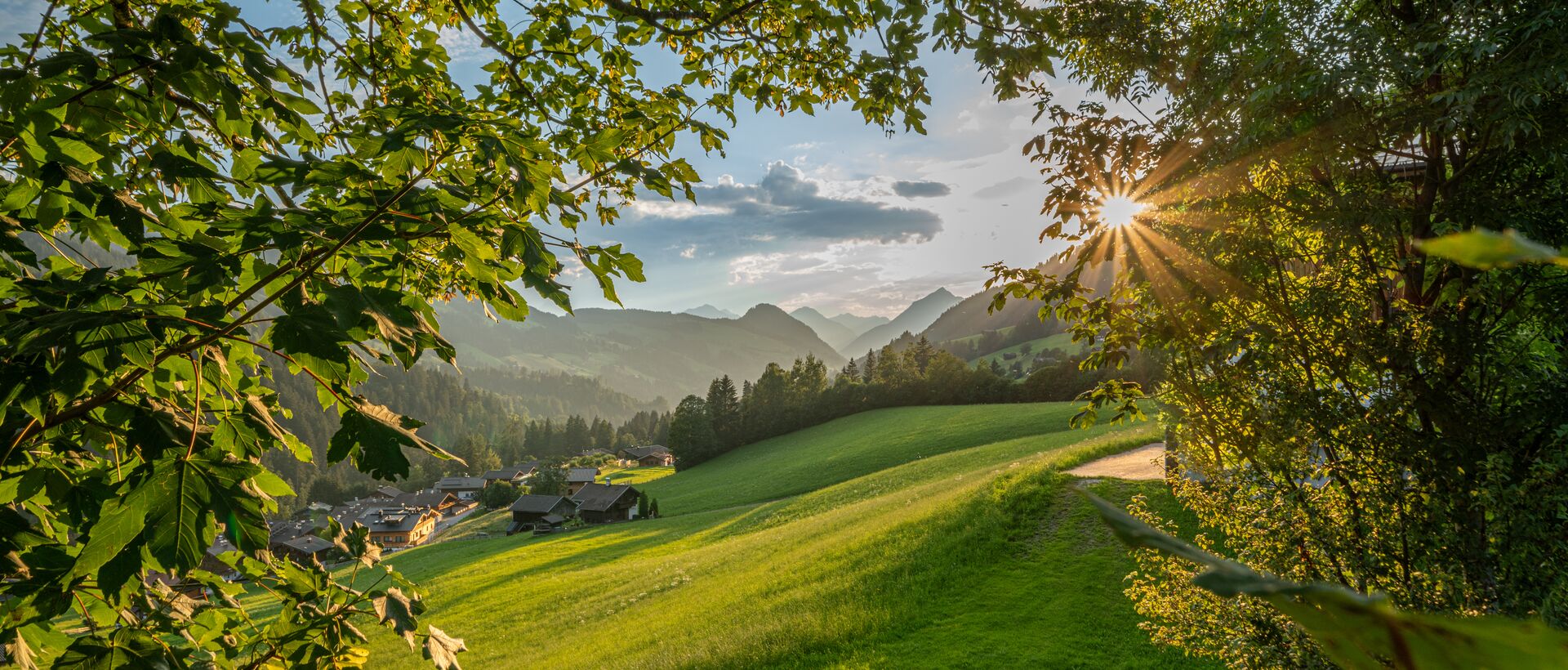 Grüne Panoramawiese im Abendlicht, Blick durch Bäume auf Berge und Häuser im Tal