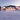 Alpenpalace Luxury Hideaway