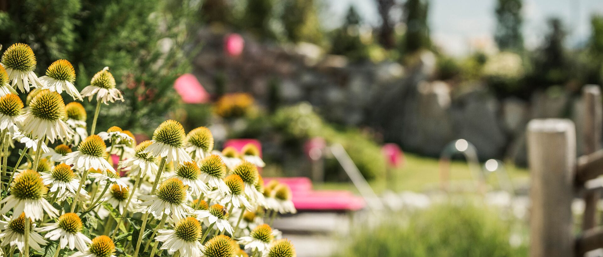 Blüten im Vordergrund, Poolbereich mit Liegen und Grünanlage im Hintergrund
