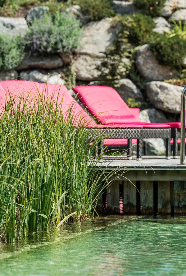 Naturpool mit einem Steg und Liegestühlen im Hintergrund