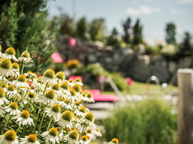 Blüten im Vordergrund, Poolbereich mit Liegen und Grünanlage im Hintergrund