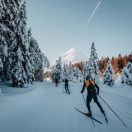 Cross-country skier on trail, snow-covered trees, mountain in the background | © TVB Seefeld