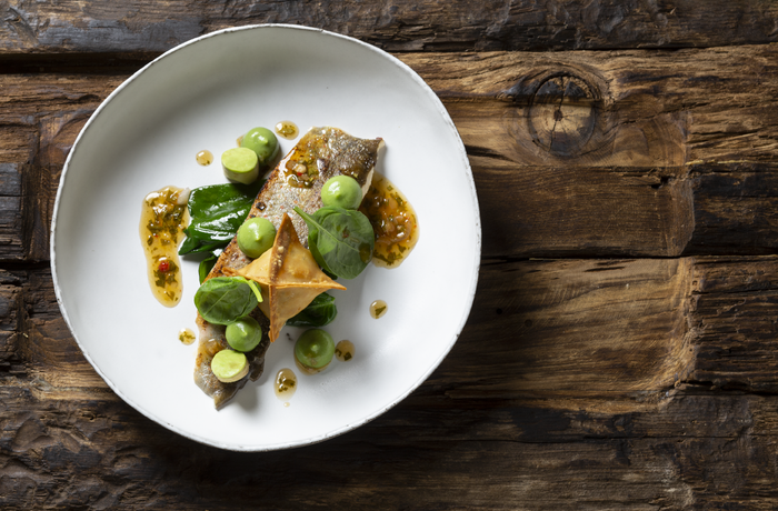 Fischgericht mit grünen Kugeln und Soße auf weißem Teller, daneben Holz