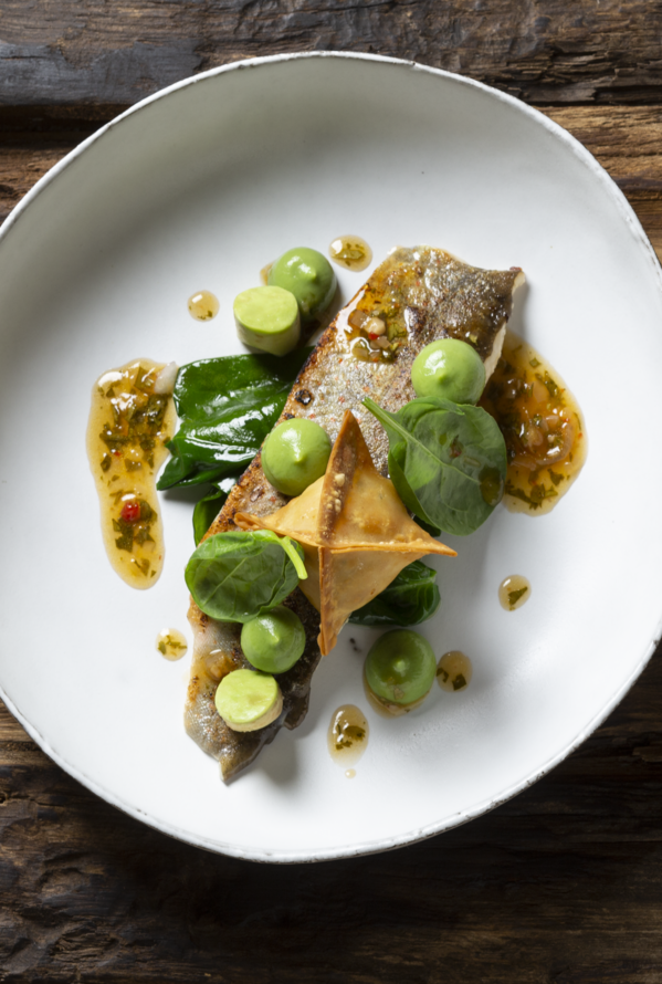 Kreativ angerichtetes Gourmetgericht mit frischen Zutaten und modernem Fine-Dining-Stil.