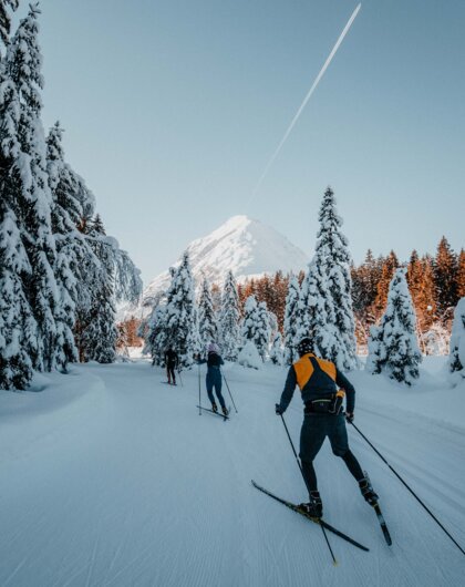 Cross country in Seefeld | 5 Sterne Superior Alpin Resort Sacher, Seefeld | © TVB Seefeld