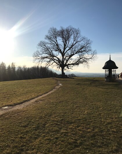 Plainlinde Maria Plain | 4 Sterne Superior Wellnesshotel Gmachl, Salzburg