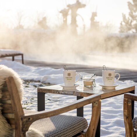 Winter Garten| Best Alpine Wellness Hotel Gmachl, Salzburg