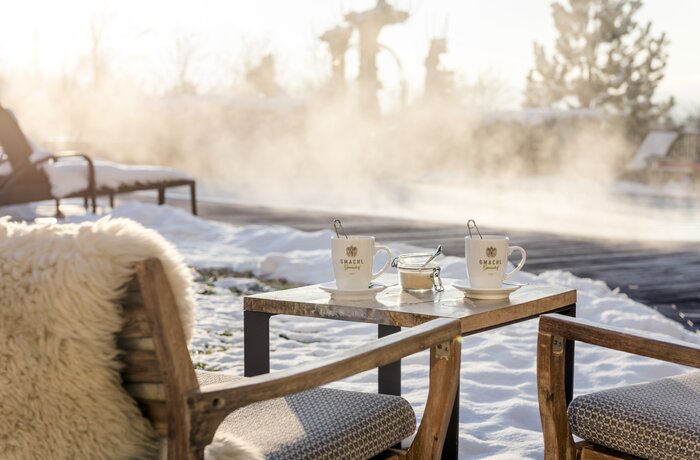 Winter Garten| Best Alpine Wellness Hotel Gmachl, Salzburg