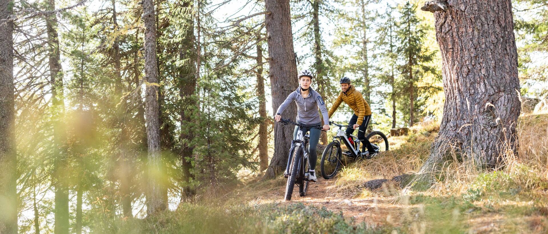 Cyclist on a path in the forest