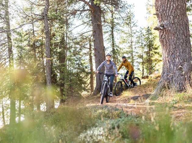Radfahrer im Wald auf einem Pfad