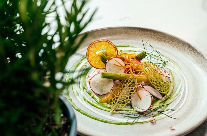 Bunter Gourmet-Salat mit Radieschen und Orangen
