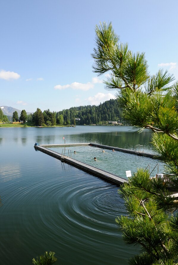 Badesteg mit Schwimmbereich an einem ruhigen Bergsee, umgeben von Wald und Natur