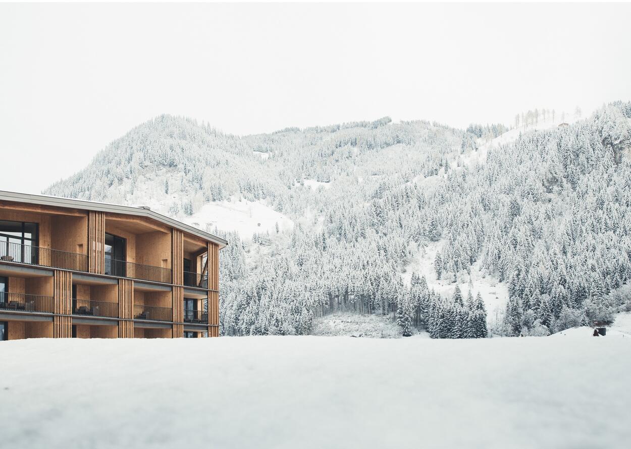 Hotel Nesslerhof in front of a snowy mountain landscape in winter