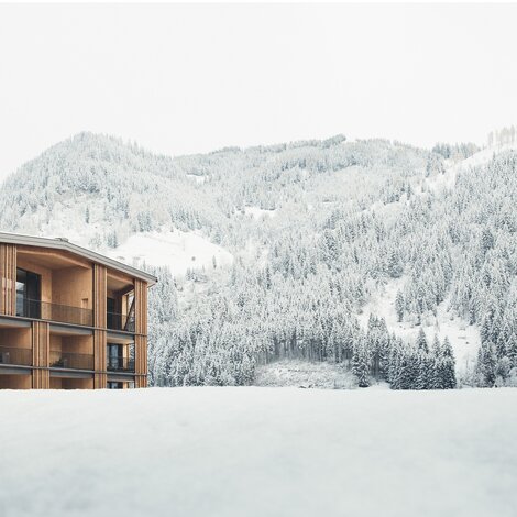 Hotel Nesslerhof in front of a snowy mountain landscape in winter