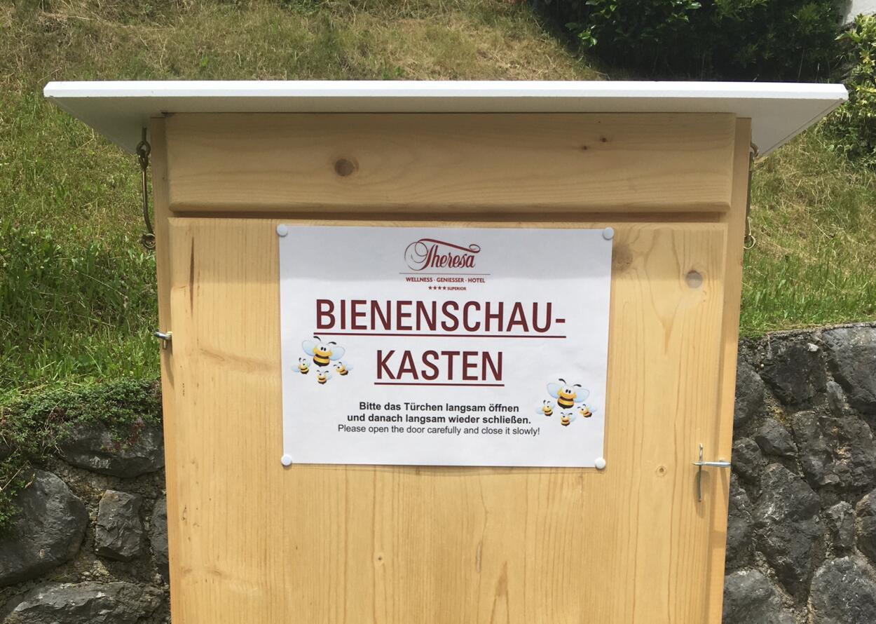 Bienenschaukasten | Wellnesshotel Theresa, Zillertal