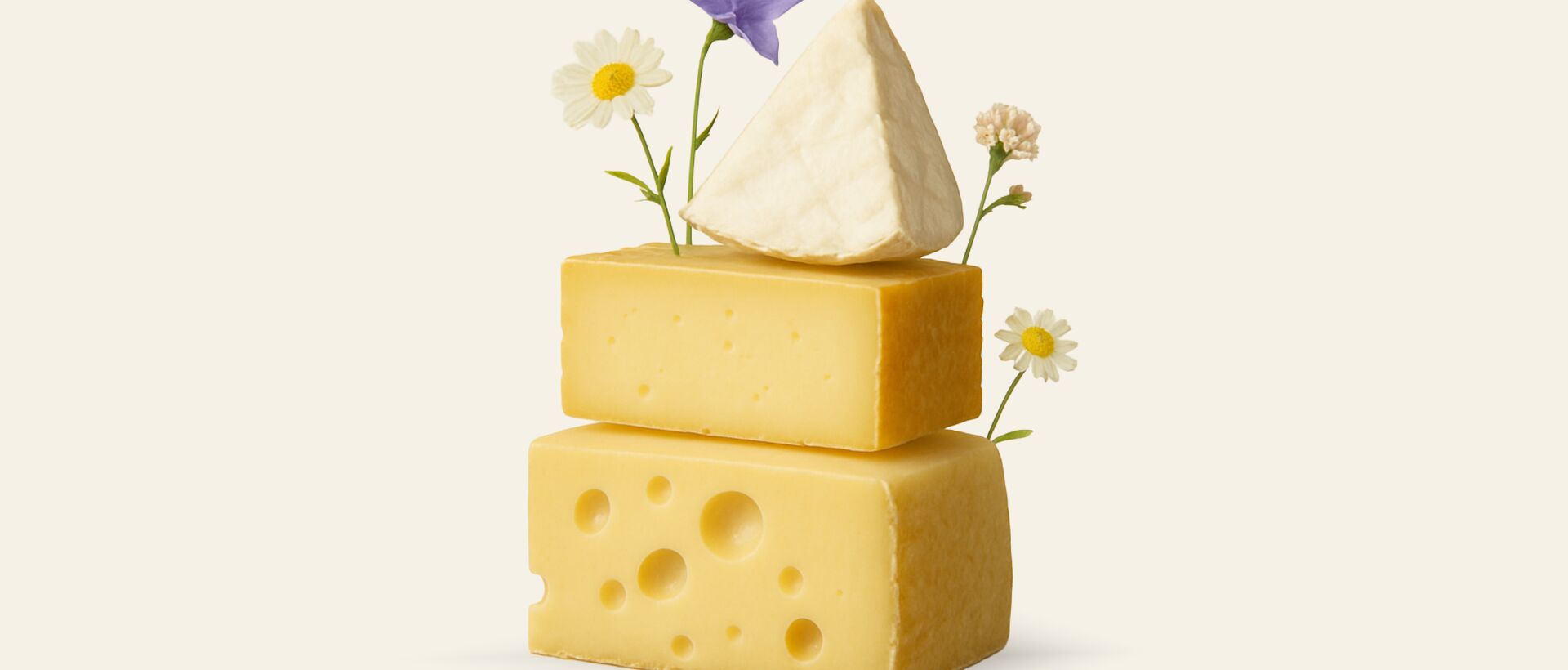 Stacked cheeses with flowers – regional flavor and natural freshness.