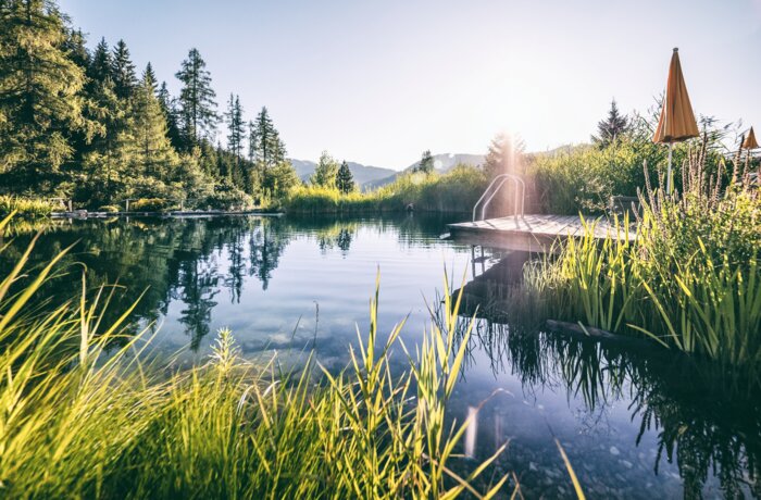 Teich mit Steg und Leiter umgeben von Bäumen und Wiesen im Sonnenlicht