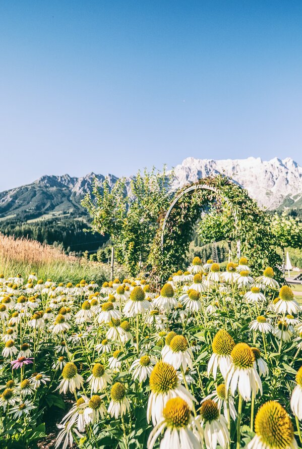 Blooming hotel garden with views of the Alps.