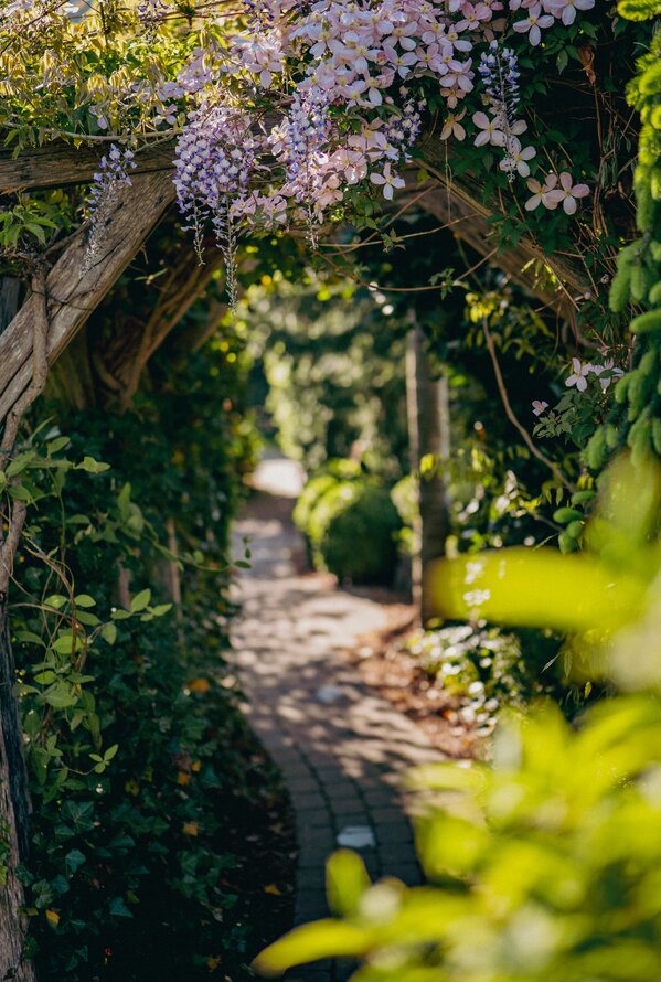 Blühender Laubengang führt in einen grünen Garten