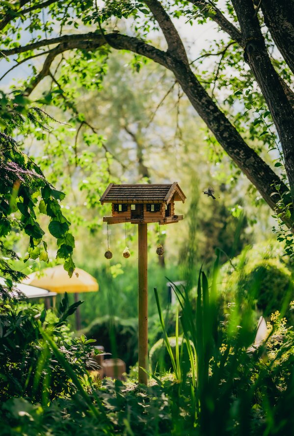Vogelhaus im Garten mit grüner Vegetation und gelbem Sonnenschirm im Hintergrund