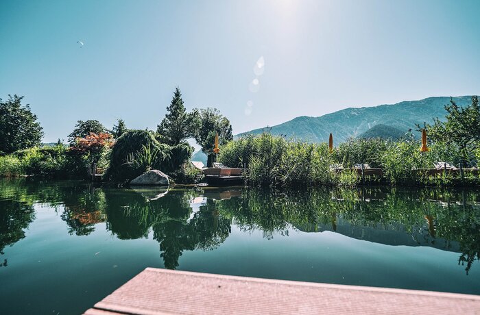 See mit Uferbewuchs, Bäumen und Bergen im Hintergrund unter blauem Himmel