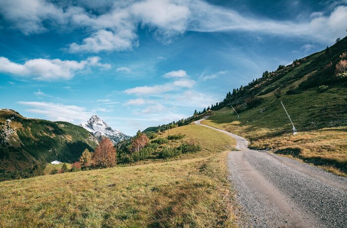Berglandschaft mit Weg, Wiese, Bäumen und schneebedecktem Gipfel unter blauem Himmel