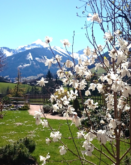 Sonnenskilauf & Frühlingsgenuss – Mountain & Spa Resort Alpbacherhof