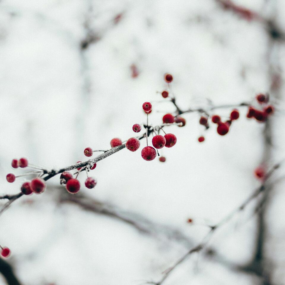 Summer short week – Naturhotel Waldklause