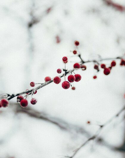 Ein guter Start ins neue Jahr – Naturhotel Waldklause