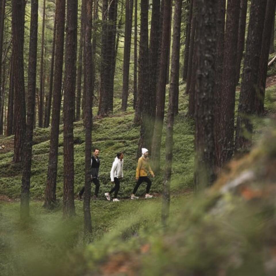 Mountain Summer – 5 Nights of Refreshment – Naturhotel Waldklause