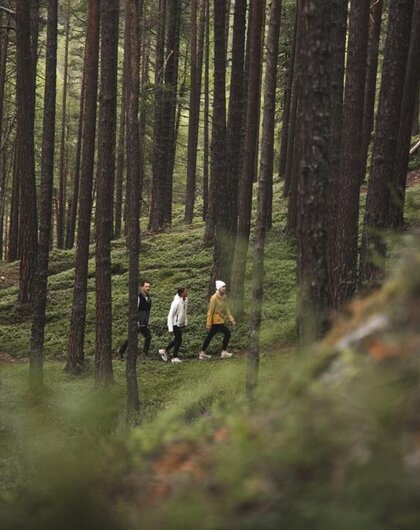 Mountain Summer – 5 Nights of Refreshment – Naturhotel Waldklause