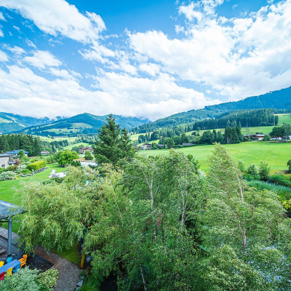 Green landscape with trees, meadows and mountains under blue sky with clouds