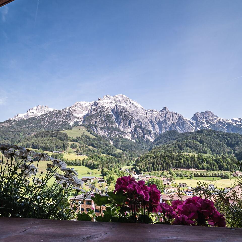 Berglandschaft mit Blumen im Vordergrund unter blauem Himmel