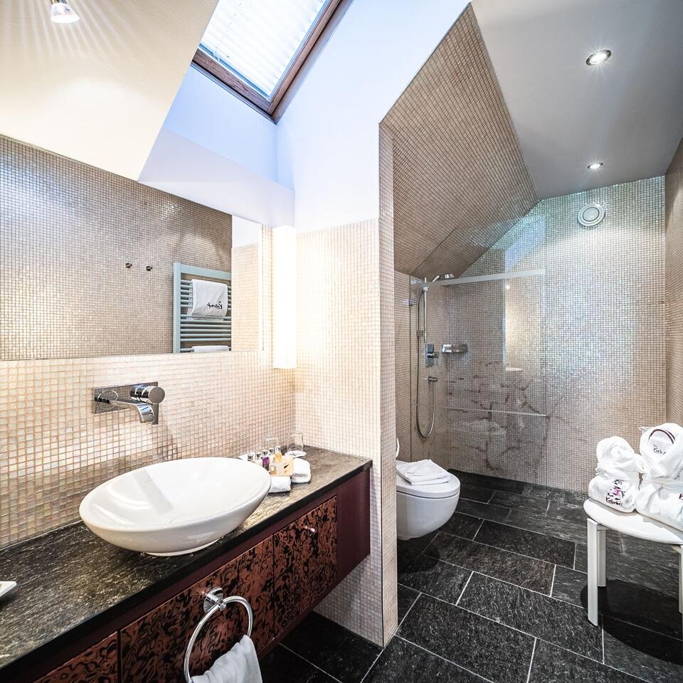 Modern bathroom with skylight, sink, toilet and shower